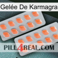 Gelée De Karmagra 27